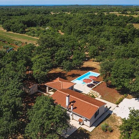 Villa Martinetinka Vodnjan Exterior foto