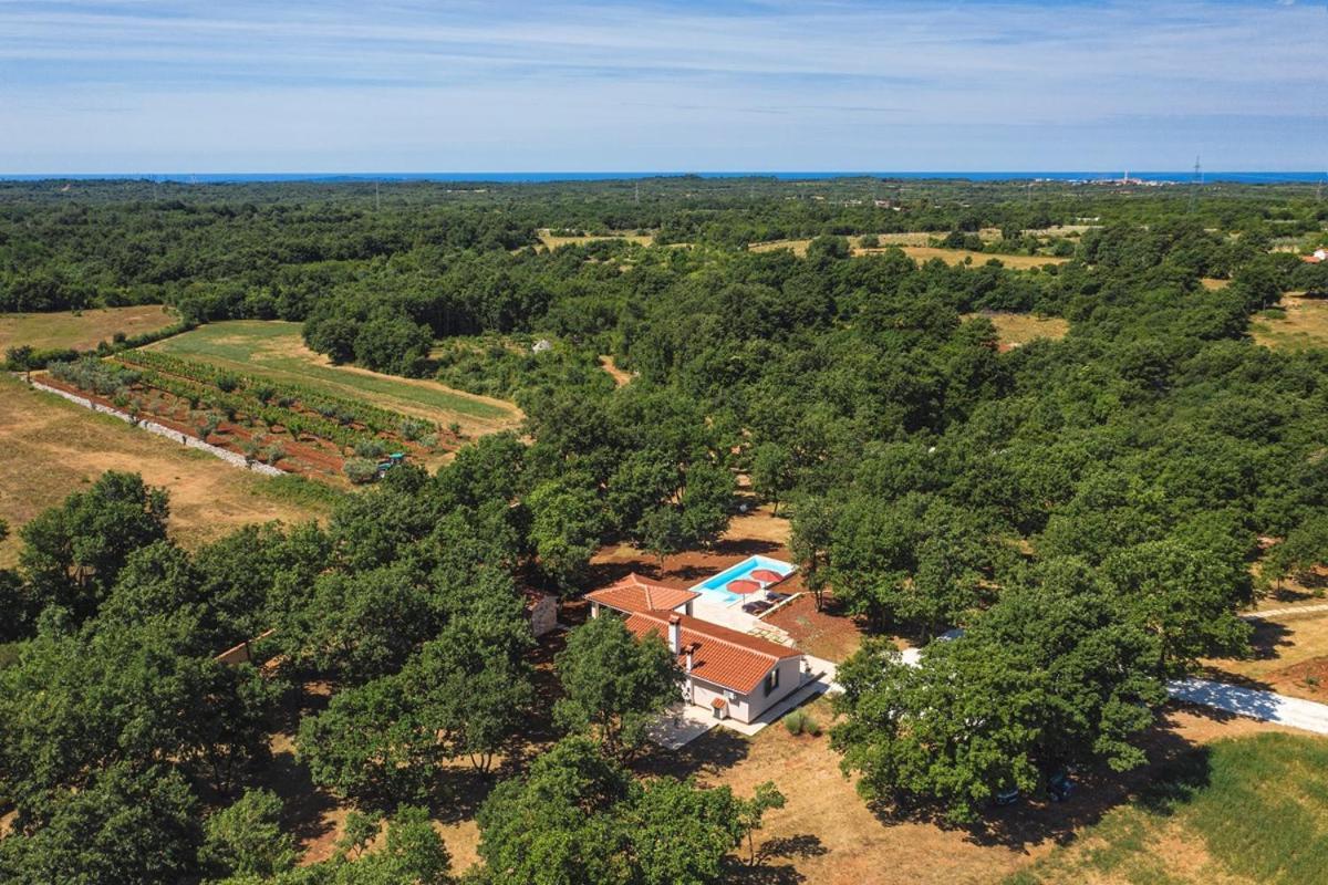 Villa Martinetinka Vodnjan Exterior foto