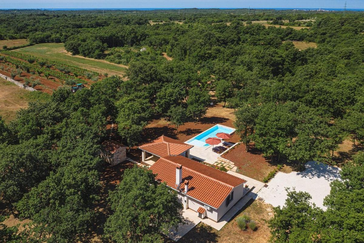 Villa Martinetinka Vodnjan Exterior foto